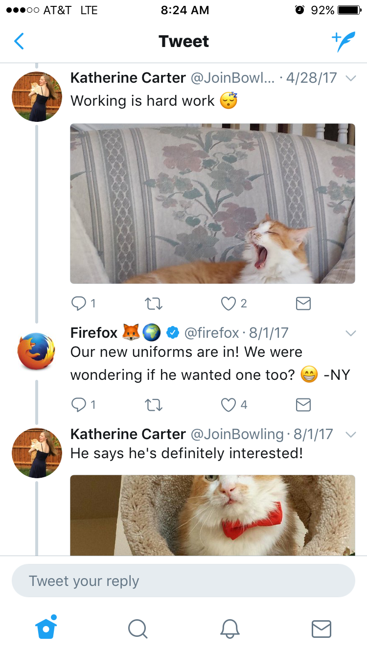 This Cat Is So Awesome He Got A Job At Firefox