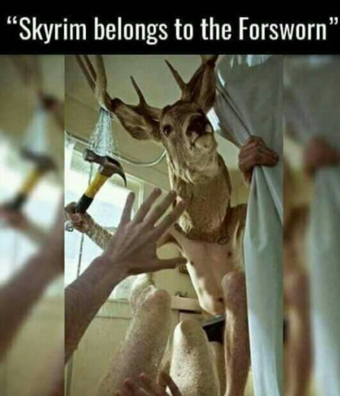 skyrim belongs to the forsworn - "Skyrim belongs to the Forsworn"