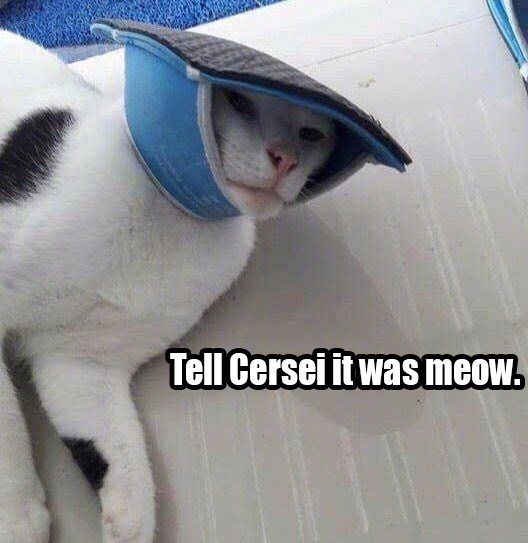 tell cersei i want her to know - Tell Cersei it was meow.