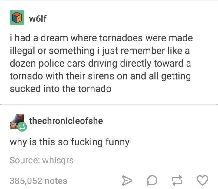 document - wolf i had a dream where tornadoes were made illegal or something i just remember a dozen police cars driving directly toward a tornado with their sirens on and all getting sucked into the tornado thechronicleofshe why is this so fucking funny 