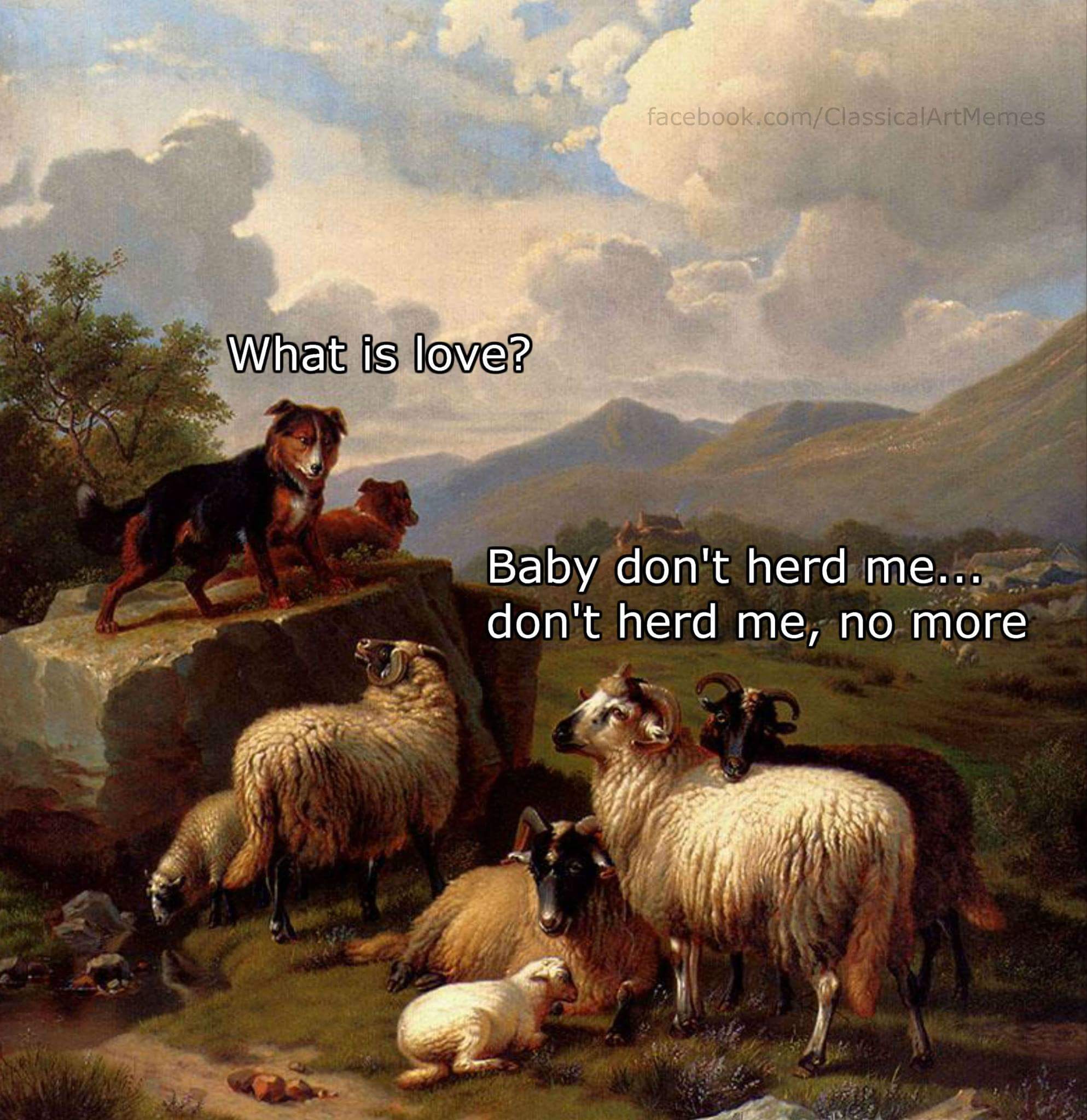 baby don t herd me sheep - facebook.comClassicalArtMemes What is love? Baby don't herd me... don't herd me, no more