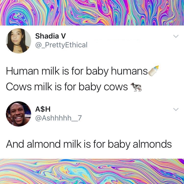 almond milk is for baby almonds meme - Shadia V Human milk is for baby humans Cows milk is for baby cows A$H And almond milk is for baby almonds