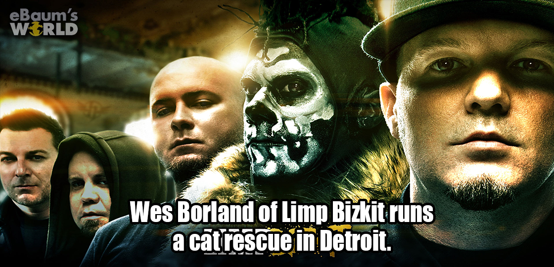 one limp bizkit - eBaum's World Wes Borland of Limp Bizkit runs a cat rescue in Detroit.