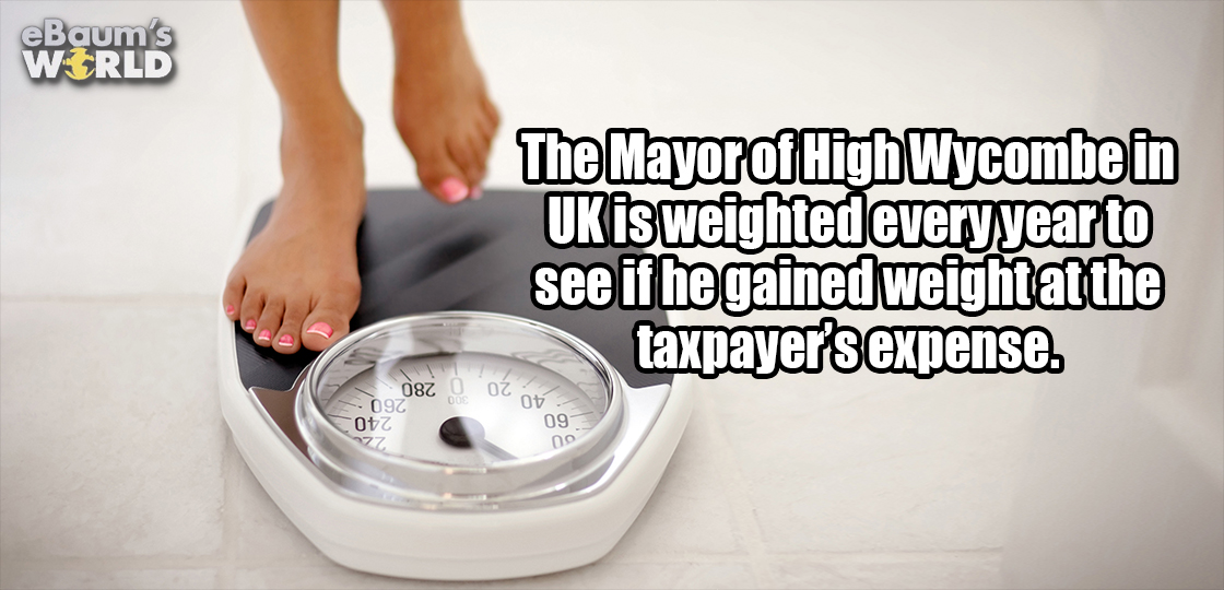 washing - eBaum's World The Mayor of High Wycombe in Uk is weighted every year to see if he gained weight at the taxpayer's expense. 082 o otot 097 Ov 09