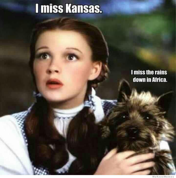 Dorthy From Wizard of Oz meme about that song about remembering the rains down in Africa.