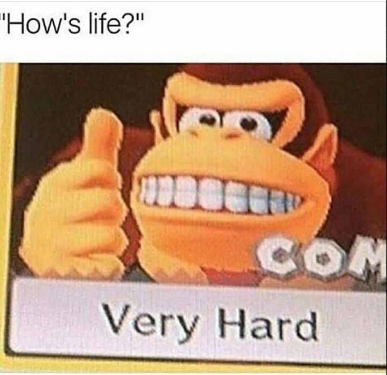 donkey kong very hard meme - How's life?" Very Hard