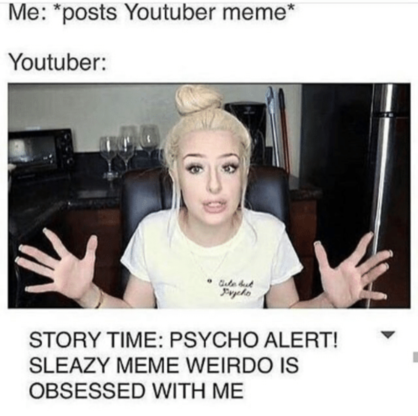 Meme of Youtuber over reacting to having youtuber meme posted