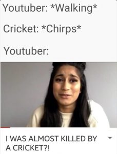 Youtuber meme about exaggerating a cricket bug