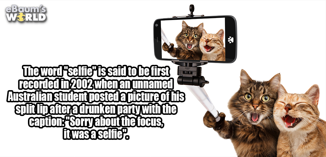 Fun fact about the word selfie