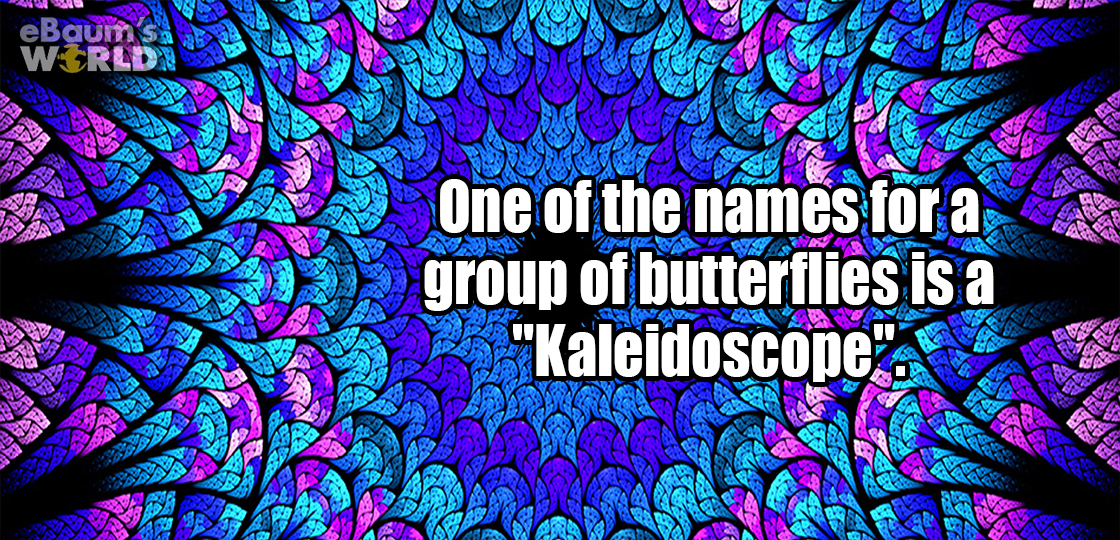 fun fact that a group of butterflies is called a Kaleidoscope