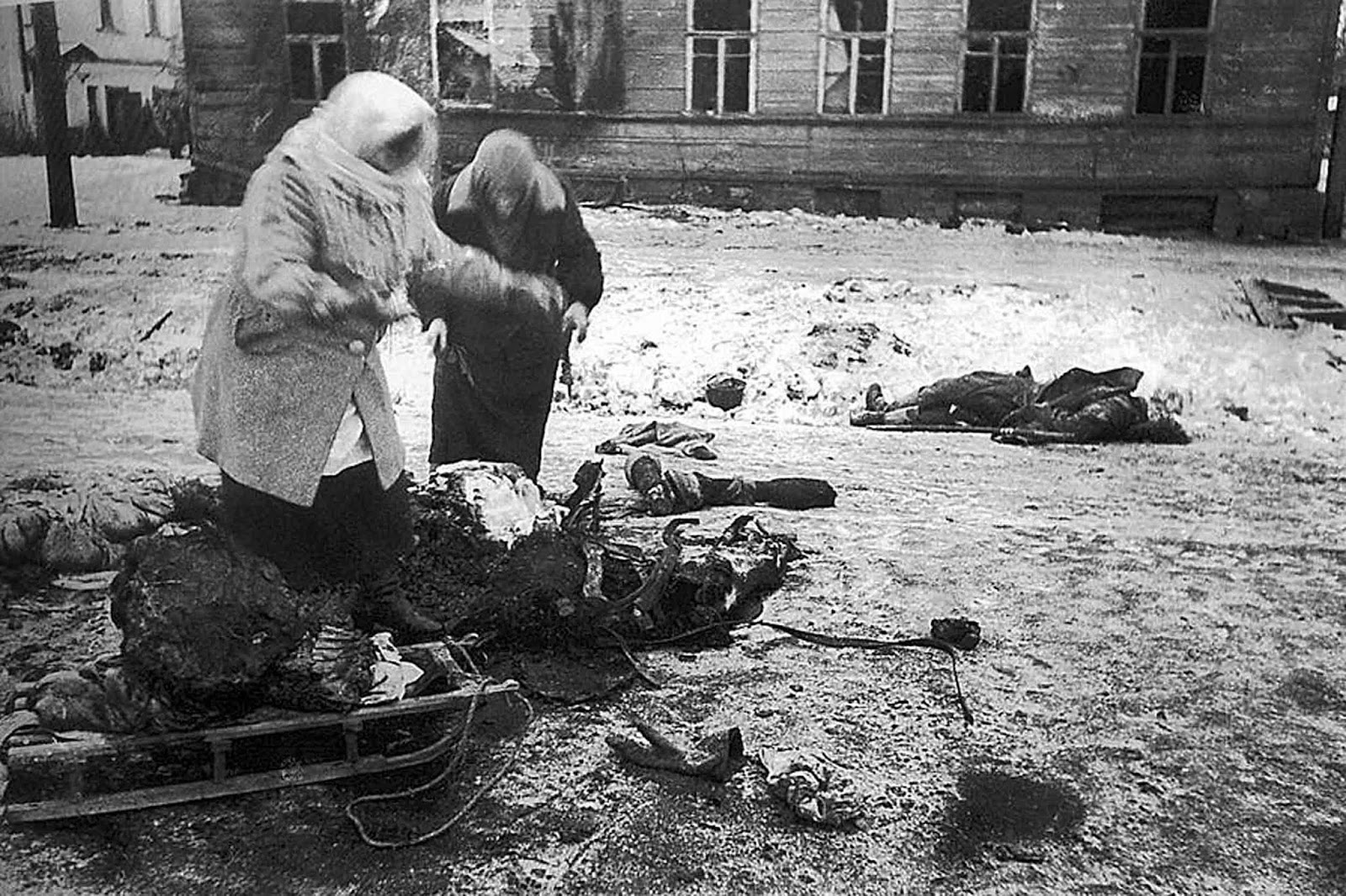 However, this is what the Siege of Leningrad was really like. This picture shows 2 civilians carving whatever they can from a horse carcass to eat in Leningrad (now St. Petersburg), USSR (now Russia) in 1943. This dead horse had already been stripped of most of its meat before these 2 civilians had a chance at it. Notice how 2 dead soldiers lie near them? And this was before it got worse by the way. The civilians in the city actually resorted to cannibalism, eating those who died in raids and the fighting. Many civilians starved, as whatever food got into the city, which wasn't much, mostly went to fighting soldiers. The siege lasted over 2 years. The Nazi's wanted the entire cities population dead it seems, and blocked all possible ways to supply the city with food and clean water. The Finnish, who for a time guarded part of the Northern outskirts of the city, did let in food trucks when a pass was cleared by the Soviets. By then though, most of the damage was done. Over 1 million Russian soldiers and civilians died, with another 3.5 million captured, wounded, or missing. For their part, the Axis forces had over half a million casualties. The city was never captured, and held out until the siege was lifted.