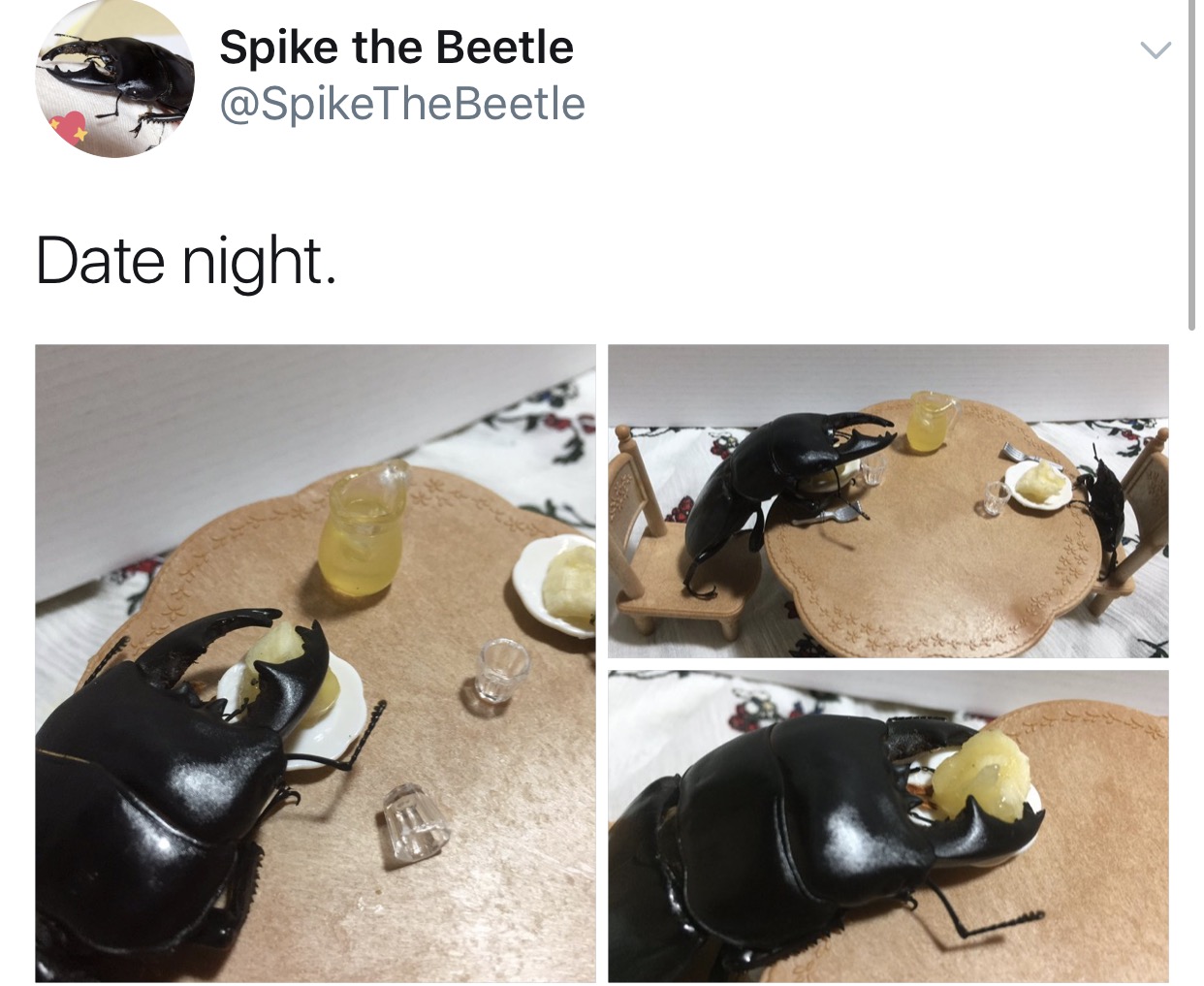 The Adventures Of Spike the Beetle