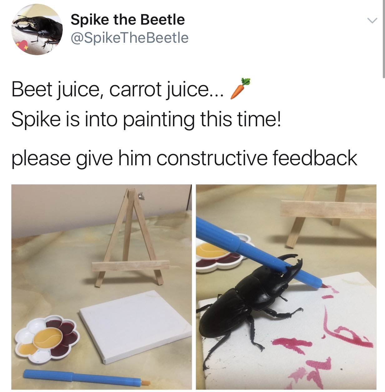 The Adventures Of Spike the Beetle