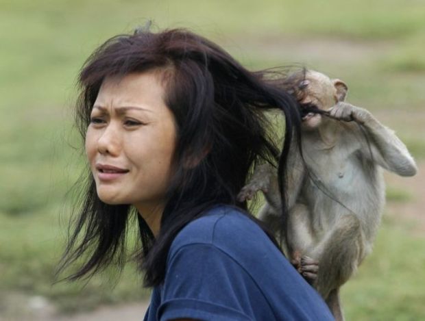 22 Women Who Ignite Unexplainable Hate In Animals