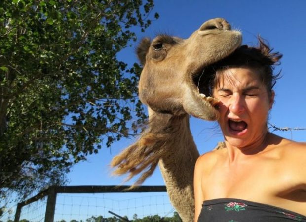 22 Women Who Ignite Unexplainable Hate In Animals