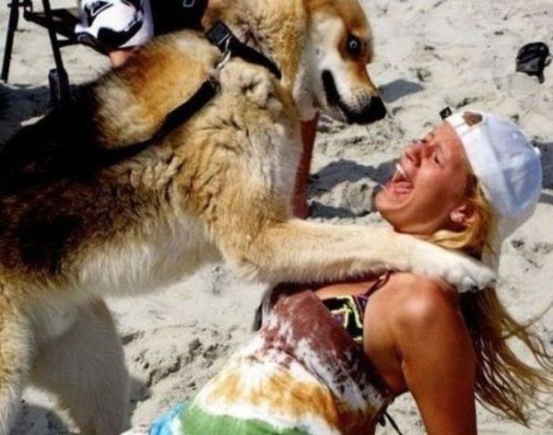 22 Women Who Ignite Unexplainable Hate In Animals