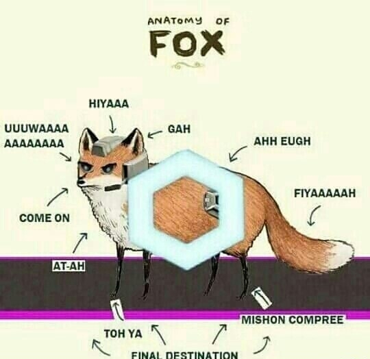 anatomy of fox melee - Anatomy Of Fox Hiyaaa Uuuwaaaa Atagah Aaaaaaaa Ahh Eugh Fiyaaaaah Come On AtAh Mishon Compree Toh YA1 1 Final Destination