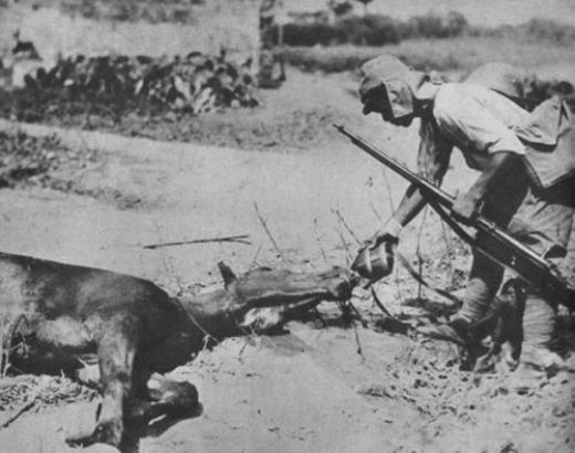 A Japanese soldier gives water to a dying horse that was hit by a mortar during WWII somewhere in China in 1942.