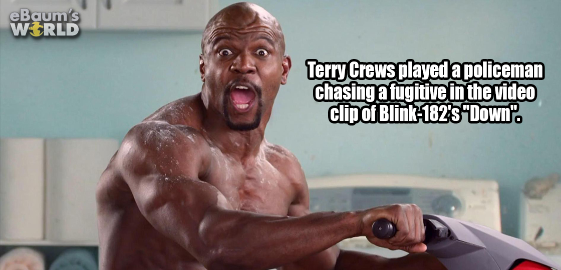 Fun fact about Terry Crews being in a video of Blink 182