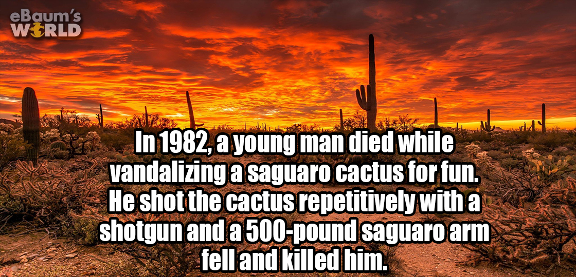 22 Fascinating Facts That Will Slay Your Boredom