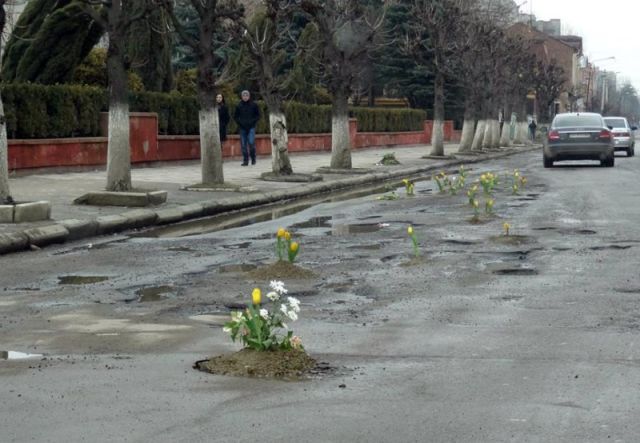 flowers planted in potholes