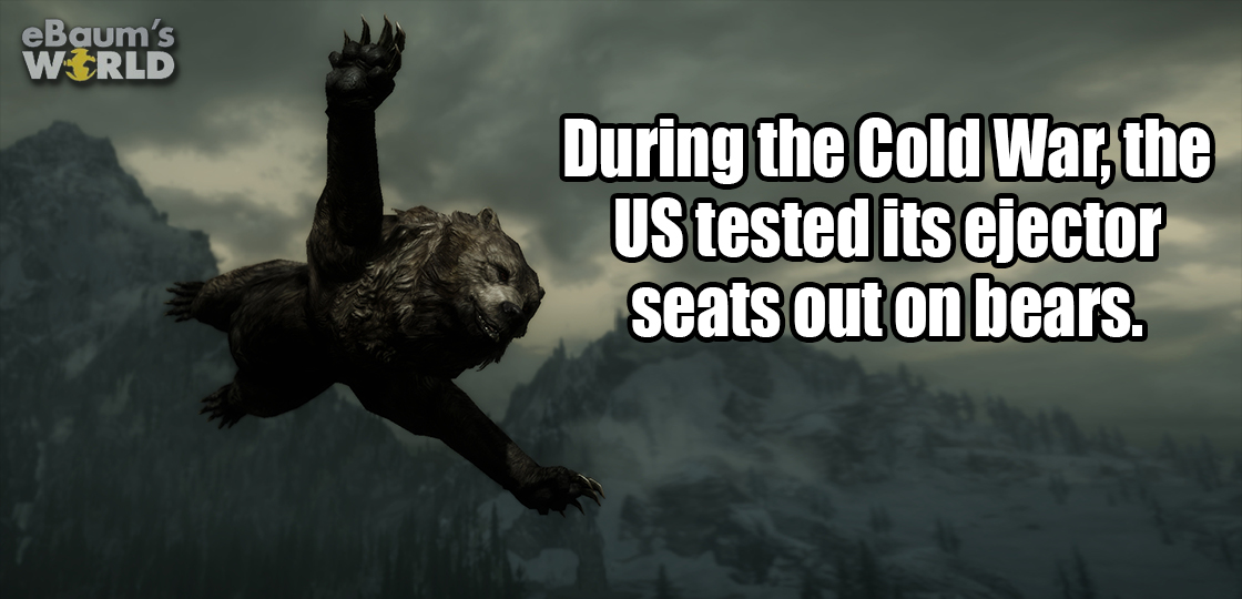 funny - eBaum's World During the Cold War, the Us tested its ejector seats out on bears.