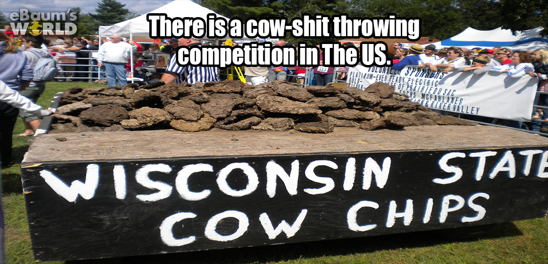 sorry it took so long - World. There is a cowshit throwing scompetition in The Us. Flechia Visconsin State Cow Chips