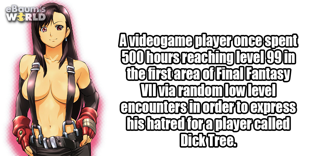 funny - eBaunis World Avideogame player once spent 500 hours reaching level 99 in the first area of Final Fantasy Vilvia random low level encounters in order to express his hatred for a player called Dick Tree.