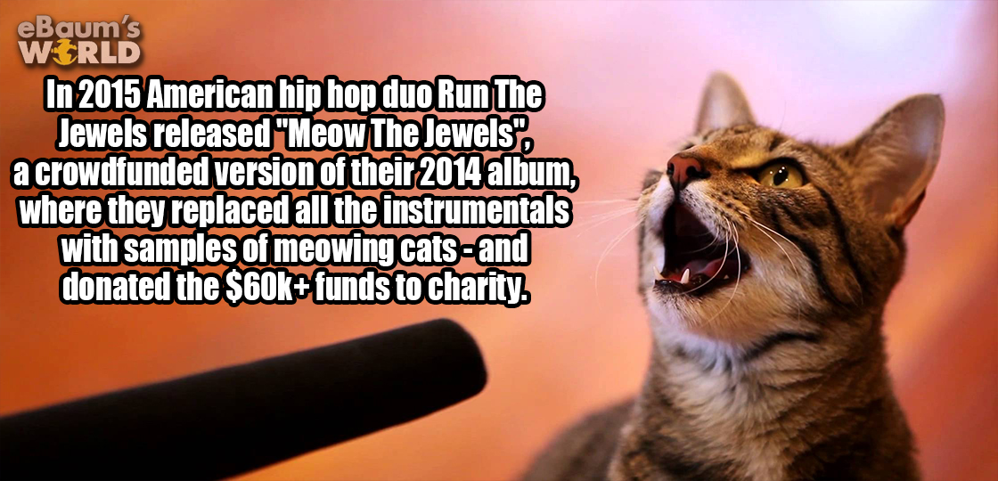 dbsk macros - eBaum's World In 2015 American hip hop duo Run The Jewels released "Meow The Jewels" a crowdfunded version of their 2014 album, where they replaced all the instrumentals with samples of meowing catsand donated the $60k funds to charity.