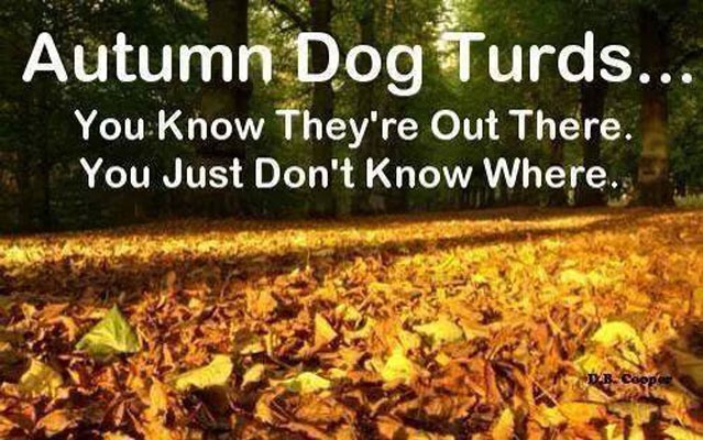 autumn dog turds - Autumn Dog Turds.. You Know They're Out There. You Just Don't Know Where.