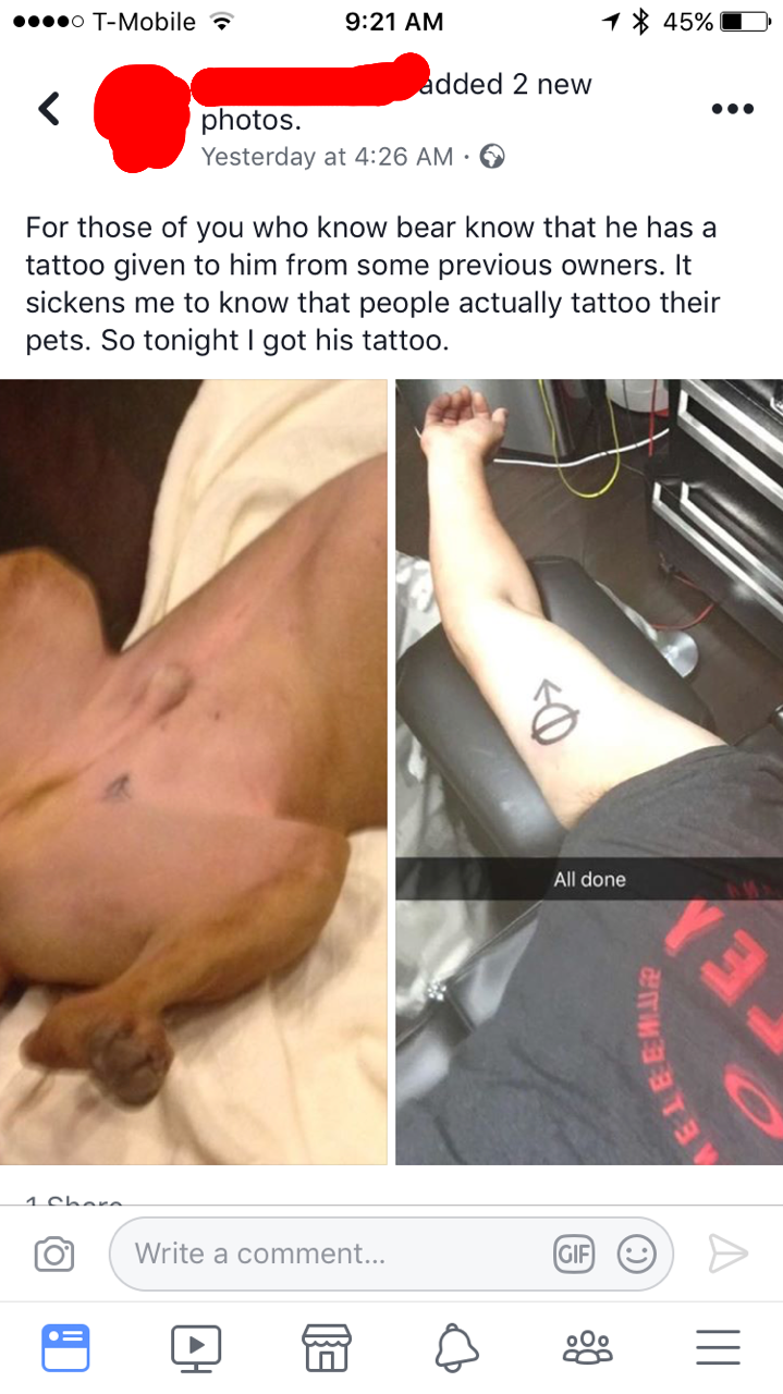 tattoo for your dog - ... TMobile 45% D added 2 new photos Yesterday at For those of you who know bear know that he has a tattoo given to him from some previous owners. It sickens me to know that people actually tattoo their pets. So tonight I got his tat