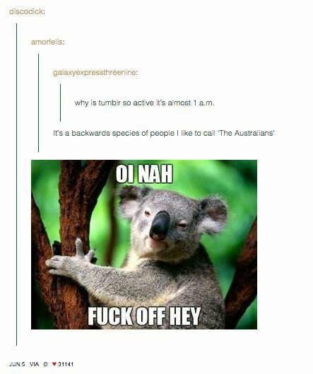 40 Quality Memes About Australia That Will Have You Head Over Heels For The Weekend