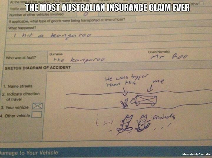 40 Quality Memes About Australia That Will Have You Head Over Heels For The Weekend