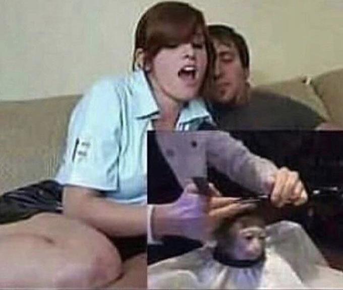 Monkey Taking A Haircut Meme Is Taking Over The Internet