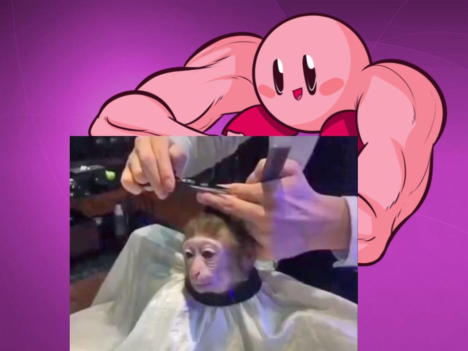 Monkey Taking A Haircut Meme Is Taking Over The Internet