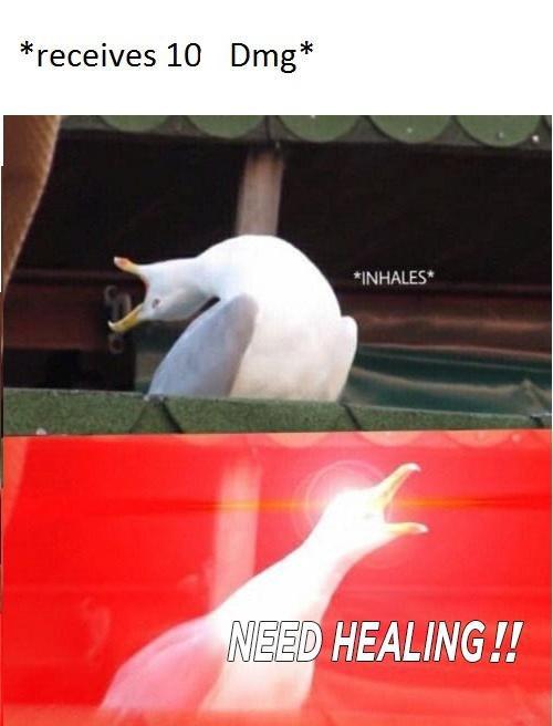 inhale boi seagull - receives 10 Dmg Inhales Need Healing!!