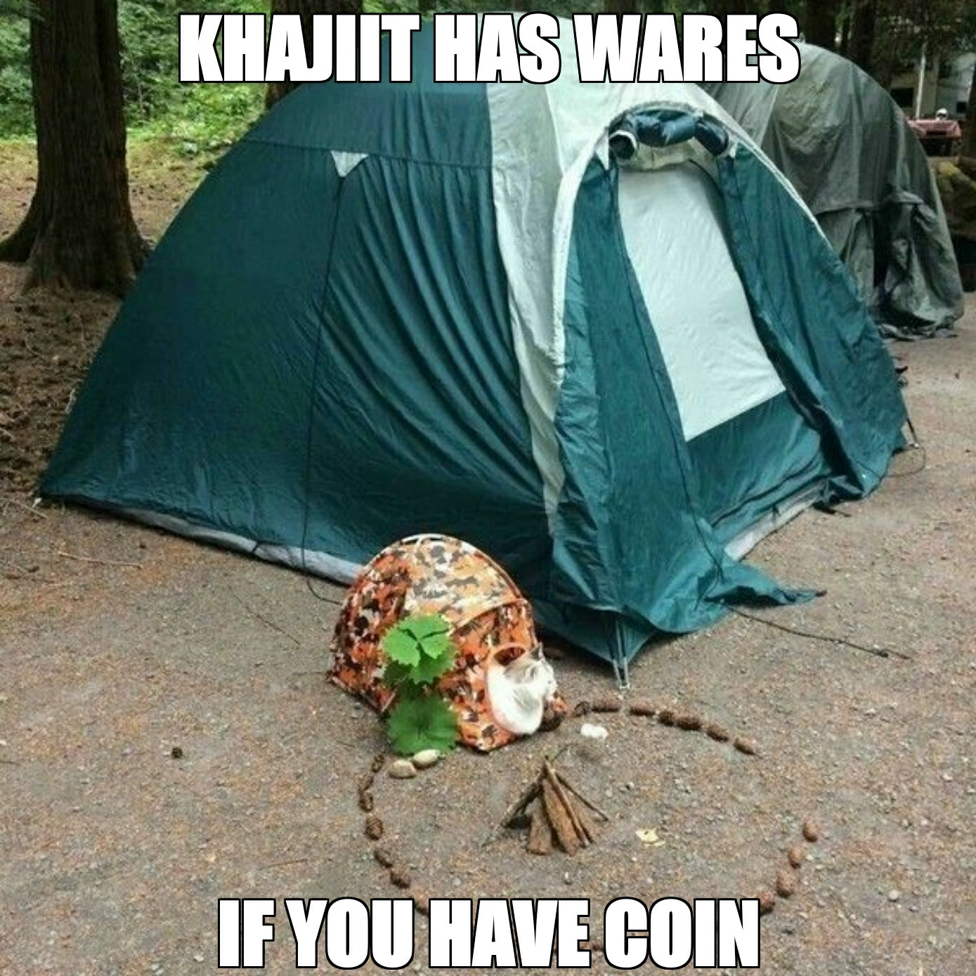 cat camping meme - Khajiit Has Wares If You Have Coin