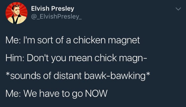 sky - Elvish Presley Me I'm sort of a chicken magnet Him Don't you mean chick magn sounds of distant bawkbawking Me We have to go Now