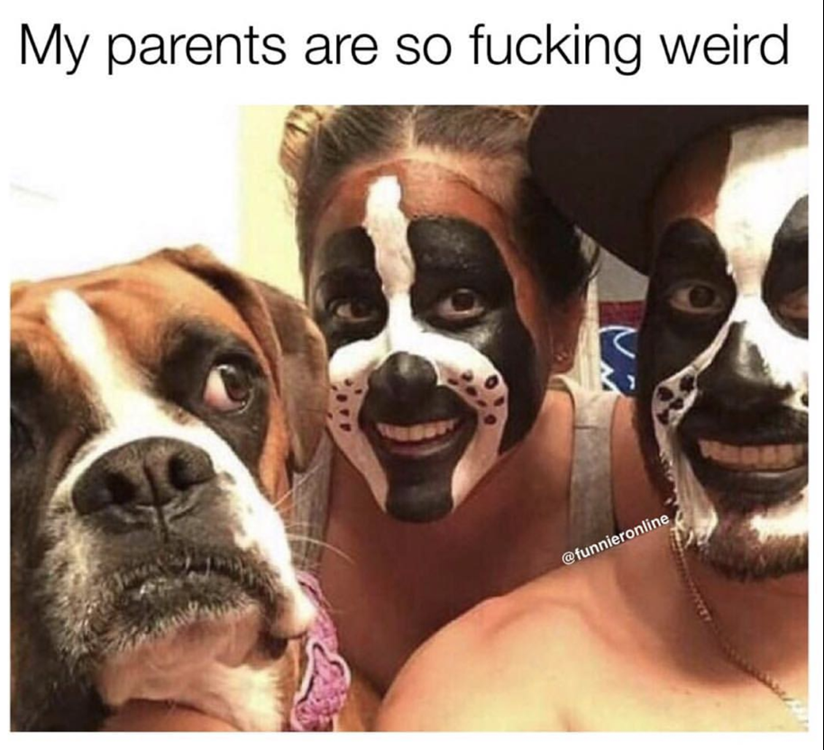 halloween boxers dog - My parents are so fucking weird funnieronline
