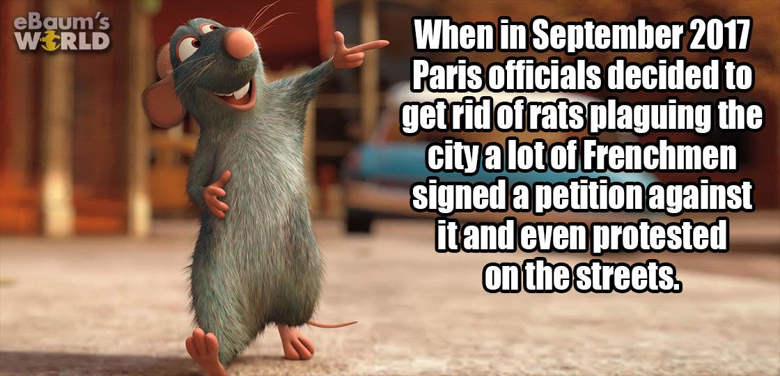 ratatouille - eBaum's World When in Paris officials decided to get rid of rats plaguing the city a lot of Frenchmen signed a petition against it and even protested on the streets.
