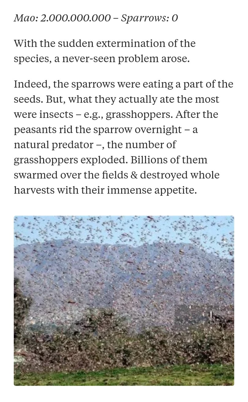 The Historical Event When Mao Zedong Caused A Famine Trying To Get Rid Of Crop-eating Birds Shows How Communism Works