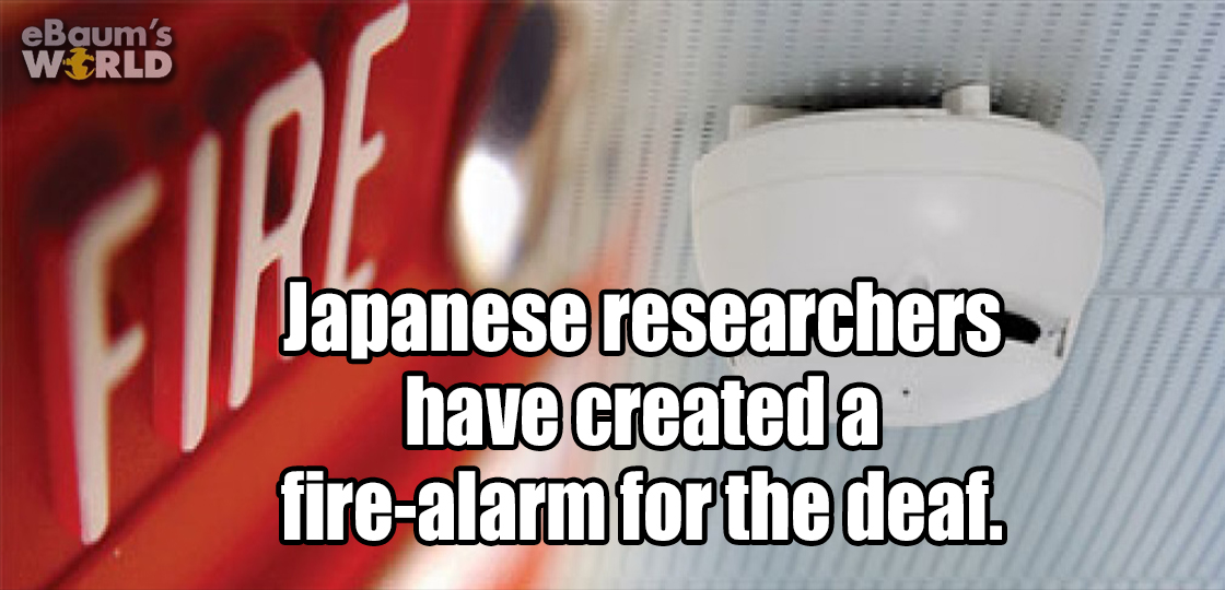 20 Fascinating Facts That Will Make Boredom A Thing Of The Past