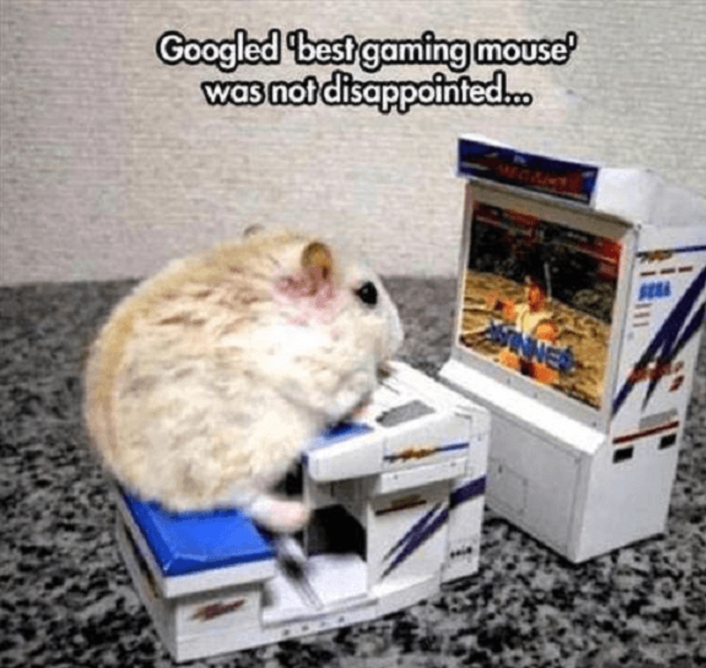 best gaming mouse funny - Googled best gaming mouse' was not disappointed.co