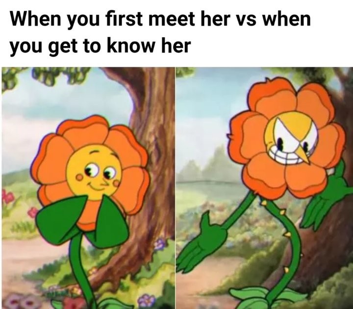 brawl is surely brewing - When you first meet her vs when you get to know her