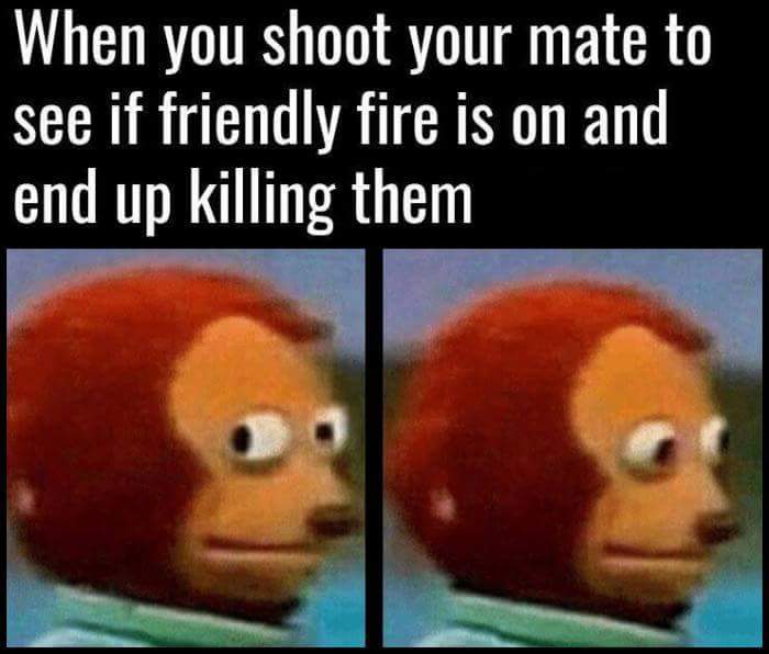 memes friendly - When you shoot your mate to see if friendly fire is on and end up killing them
