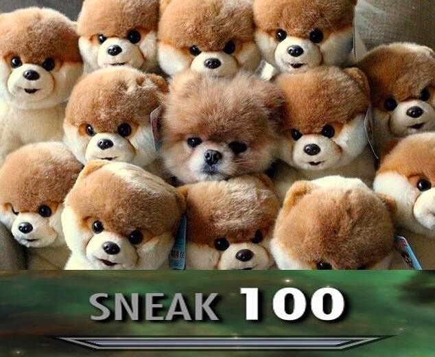 real pictures of cute animals - Sneak 100