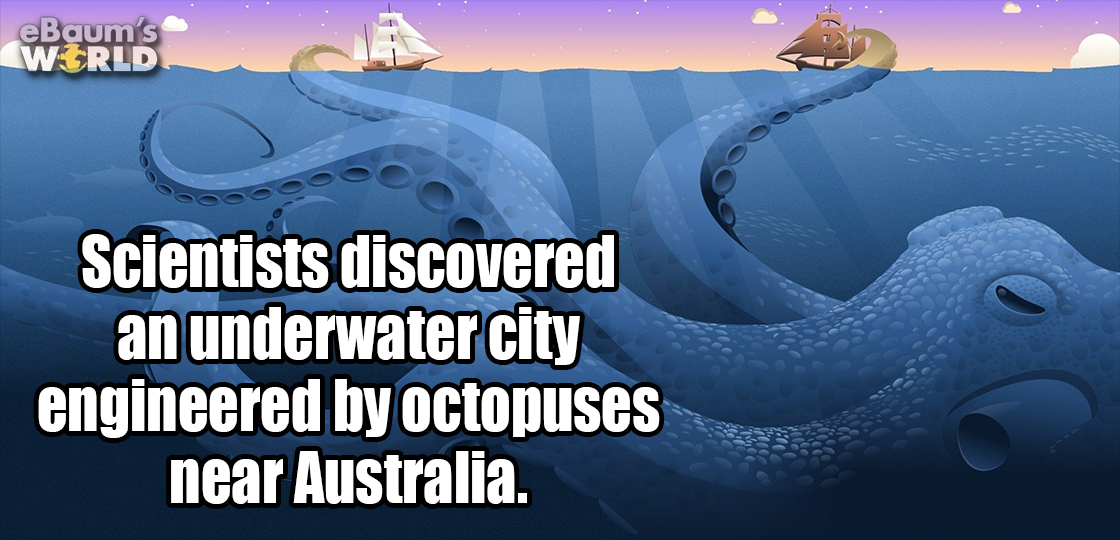 sea art - eBaum's World Scientists discovered an underwater city engineered by octopuses near Australia.
