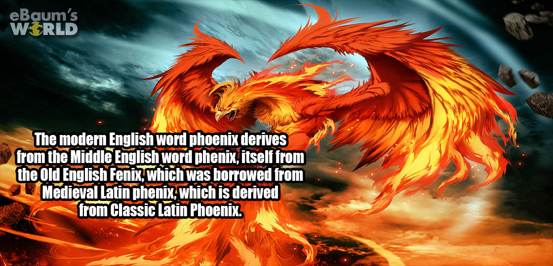 Phoenix - eBaum's World The modern English word phoenix derives from the Middle English word phenix, itself from the Old English Fenix, which was borrowed from Medieval Latin phenix, which is derived from Classic Latin Phoenix.