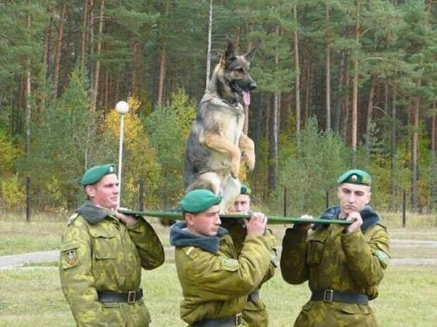 44 WTF Pics That Will Make You Scream "What The F*ck Russia?!?"