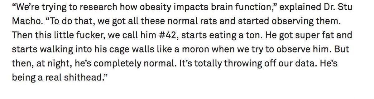 funny love stories - "We're trying to research how obesity impacts brain function," explained Dr. Stu Macho. "To do that, we got all these normal rats and started observing them. Then this little fucker, we call him , starts eating a ton. He got super fat